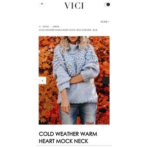 Light blue mock neck sweater from Vici